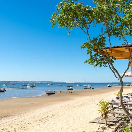 Daire Cote D'argent-6 By Interhome *